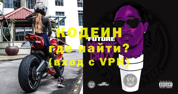 эйфоретик Арсеньев