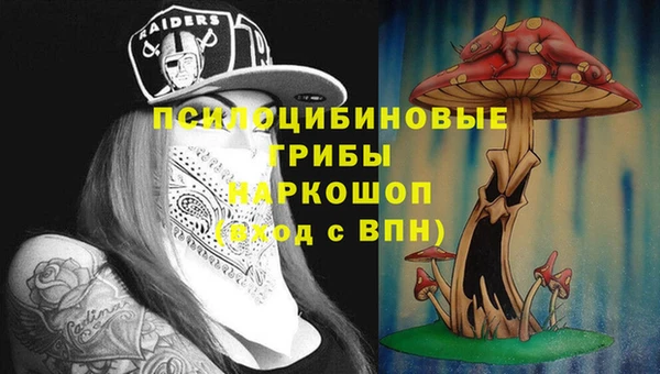 молекула духа Армянск