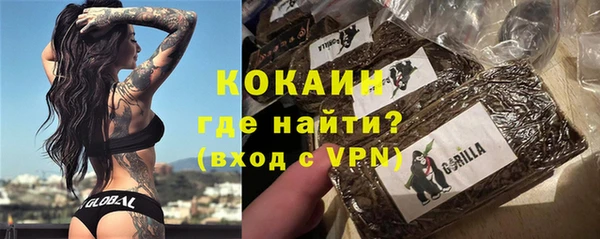 эйфоретик Арсеньев