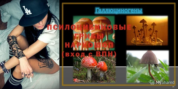 молекула духа Армянск