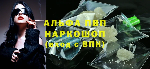 эйфоретик Арсеньев