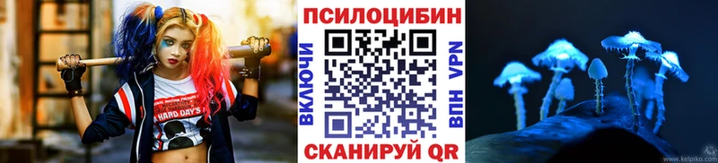 Псилоцибиновые грибы Psilocybine cubensis  купить  цена  Краснотурьинск 