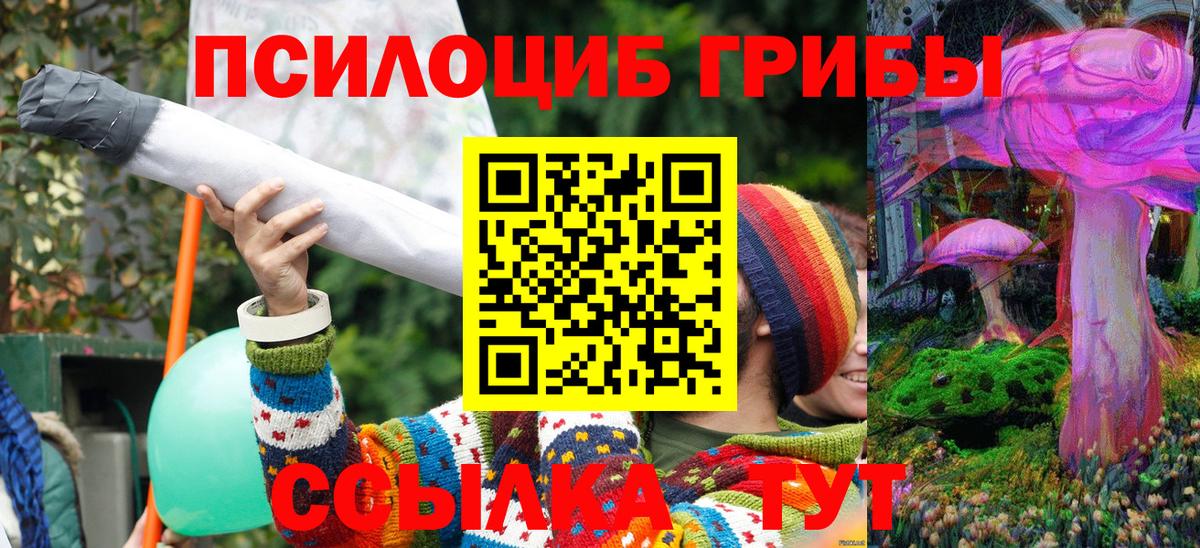 Галлюциногенные грибы прущие грибы Краснотурьинск